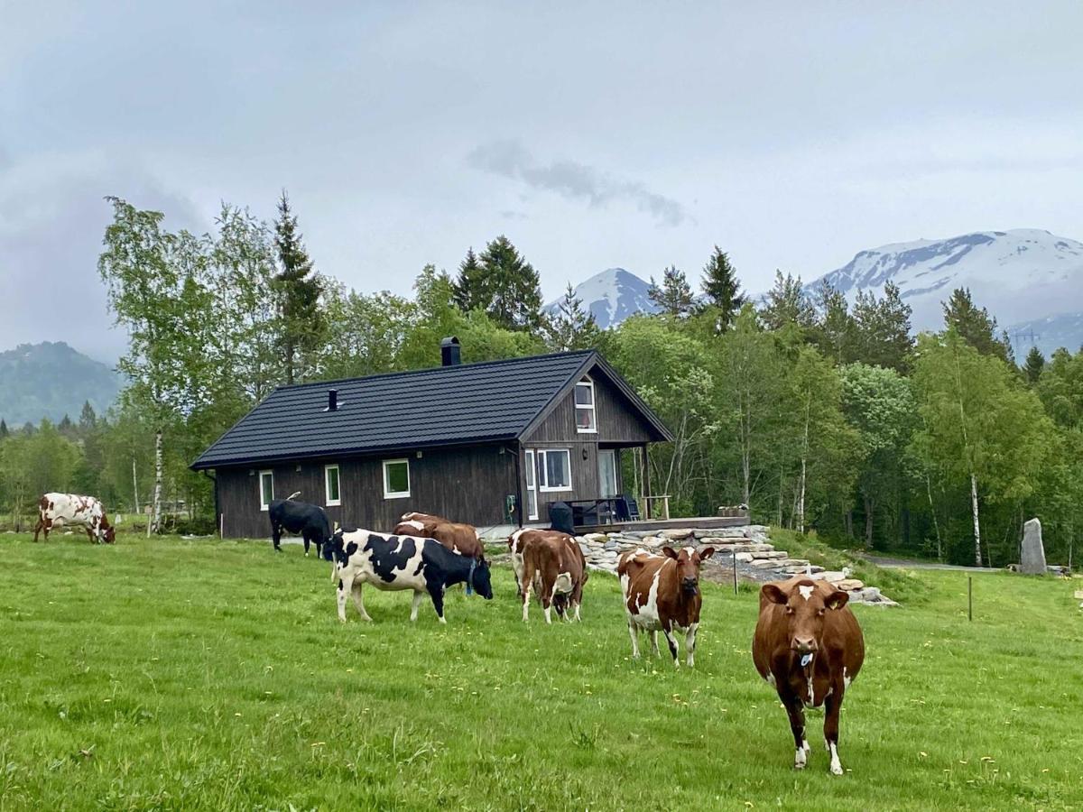 Вилла Heinali Hytta Isfjorden Экстерьер фото